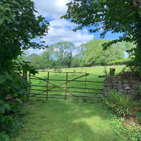 The Lodge@Tyddyn Ucha Caernarfon Luaran gambar